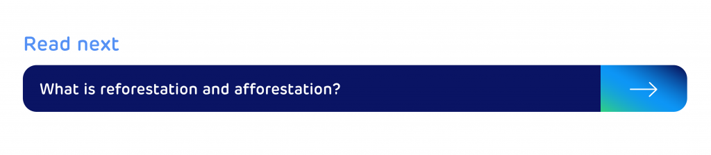 Read next: What is reforestation and afforestation? 